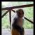 a monkey!